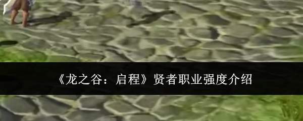 龙之谷新征程：贤者职业强度解析