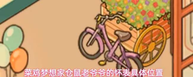 菜鸡梦想家仓鼠老爷爷的怀表具体位置