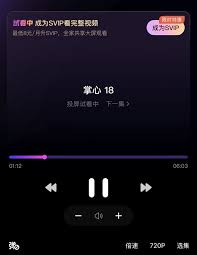 优酷视频vip怎么升级svip