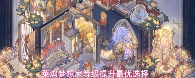 菜鸡梦想家等级提升最优选择