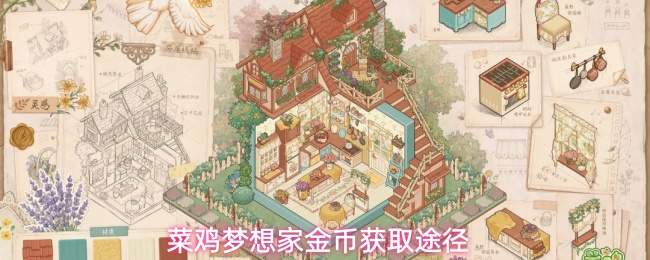 菜鸡梦想家金币获取途径