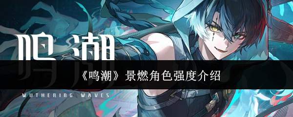 《鸣潮》景燃角色强度介绍