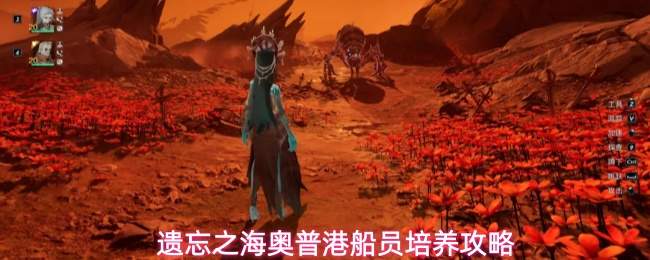 遗忘之海奥普港船员培养攻略