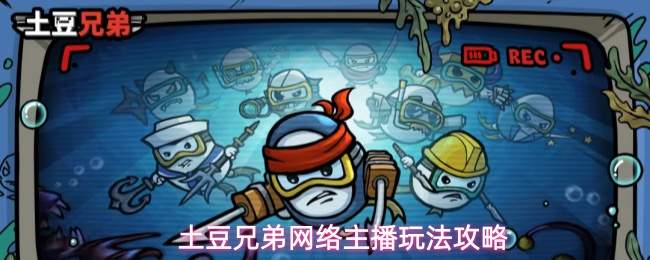 土豆兄弟网络主播玩法攻略