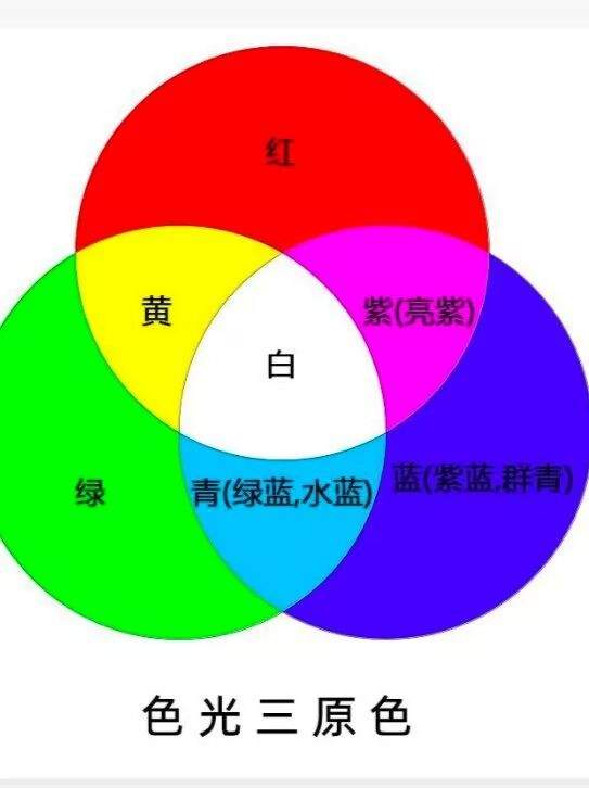 奇蛋生物植物繁殖攻略