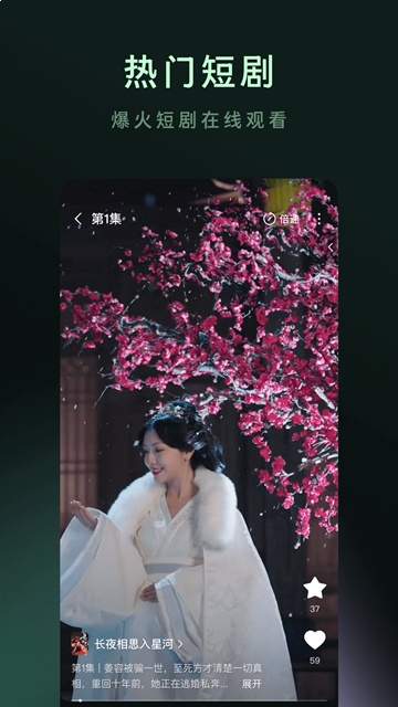 木叶免费短剧老版本
