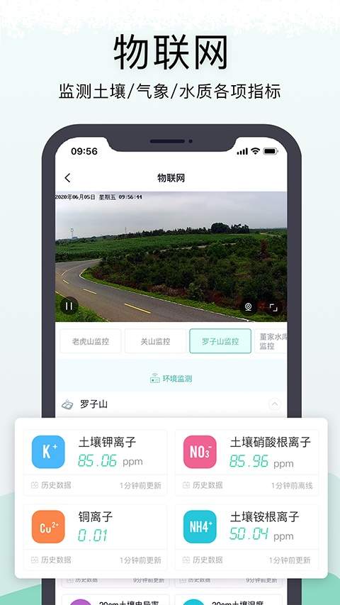 神农口袋老版本