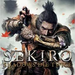 只狼影逝二度完整版