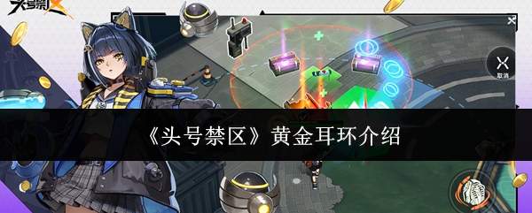 《头号禁区》黄金耳环介绍