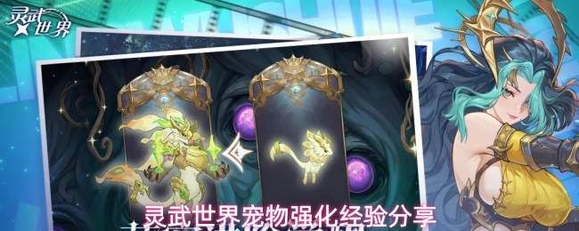 灵武世界宠物强化经验分享