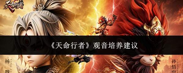 《天命行者》观音培养建议