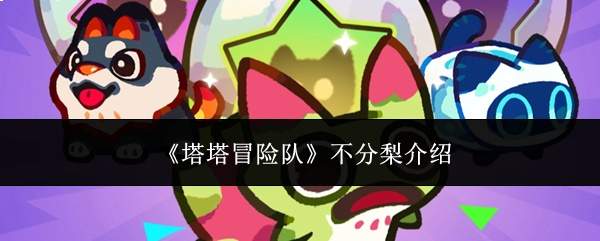 《塔塔冒险队》不分梨介绍