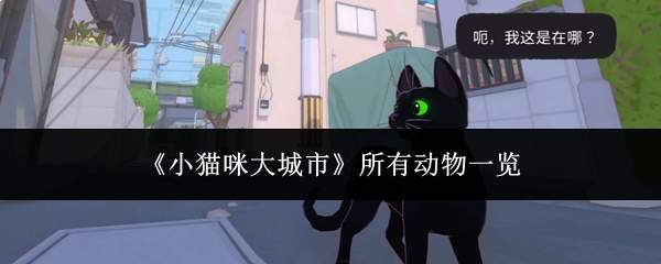 《小猫咪大城市》所有动物一览