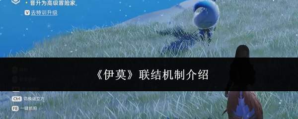 《伊莫》联结机制介绍