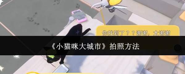 《小猫咪大城市》拍照方法