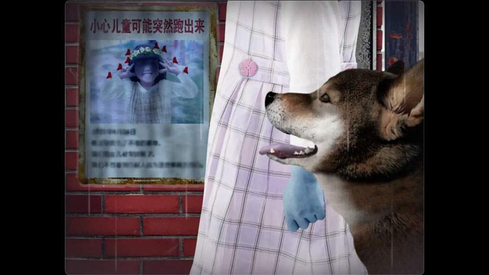 翌日波奇狗的历险记移植版