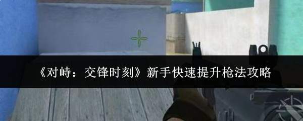 《对峙:交锋时刻》新手快速提升枪法攻略