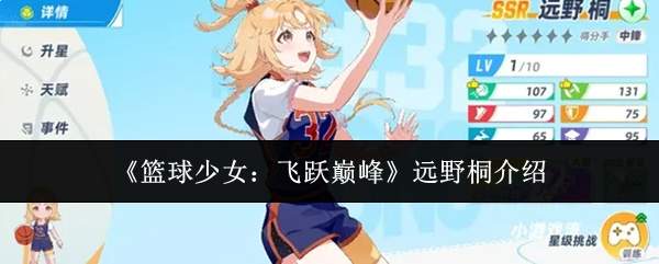 《篮球少女:飞跃巅峰》远野桐介绍