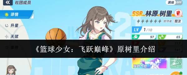 《篮球少女:飞跃巅峰》原树里介绍