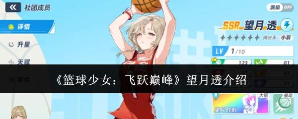 《篮球少女:飞跃巅峰》望月透介绍
