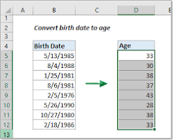Excel 2016表格中怎么快速计算年龄