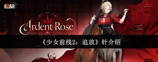 《少女前线2:追放》针介绍