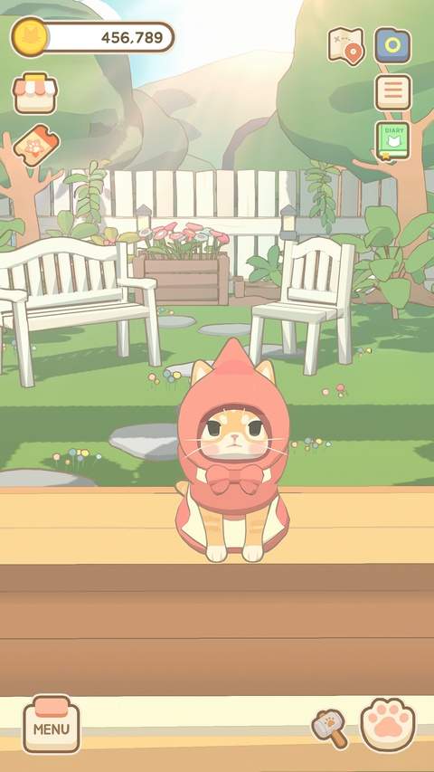窗外的猫先行服