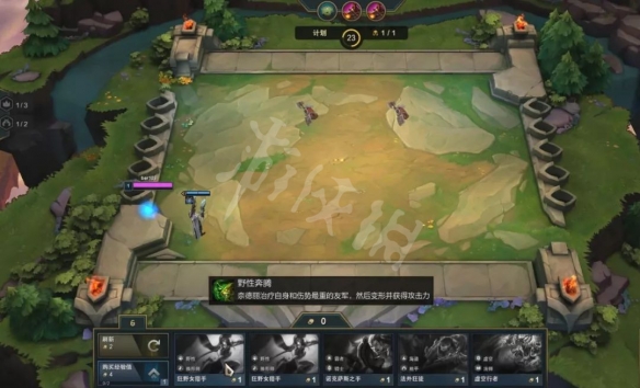 云顶之弈六法阿卡丽阵容如恶化搭配？阵容搭配及用法介绍