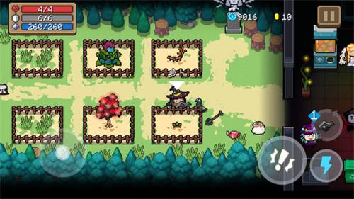 元气骑士如何选择花园植物?花园材料搭配心得分享 元气骑士如何选择花园植物?花园材料搭配心得分享