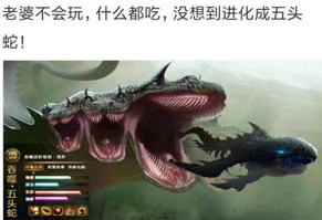 吃鲲表情包 吃鲲表情包