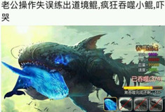 吃鲲表情包 吃鲲表情包