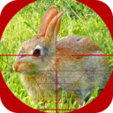猎兔狙击手