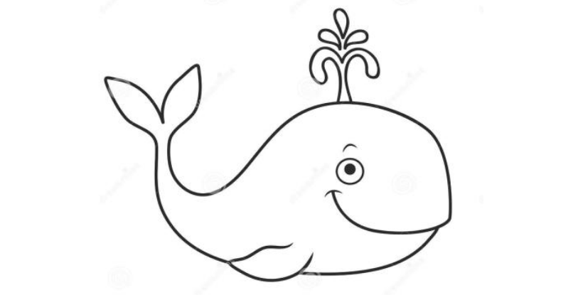 QQ画图红包鲸鱼图案如何绘制？鲸鱼图案绘制流程图文一览
