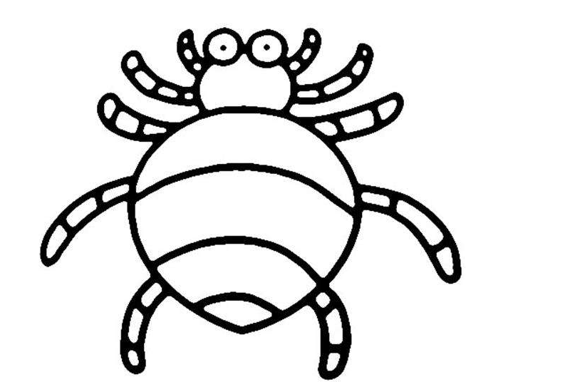 QQ画图红包蜘蛛图案如何绘制？蜘蛛图案绘制方法介绍