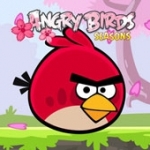 愤怒的小鸟：樱花季中文版