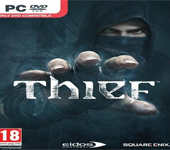 神偷4:盗贼大师版