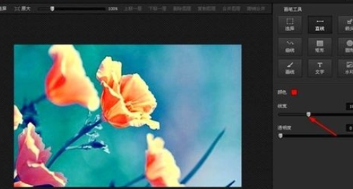 光影魔术手怎么绘画垂直线?垂直线绘画教程指南 光影魔术手怎么绘画垂直线?垂直线绘画教程指南