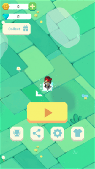 Bird Chase Bird Chase