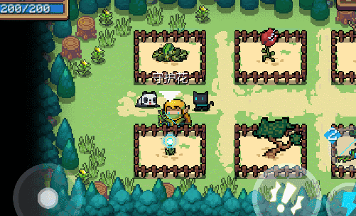 元气骑士守护花作用是什么?守护花获取方法一览 元气骑士守护花作用是什么?守护花获取方法一览