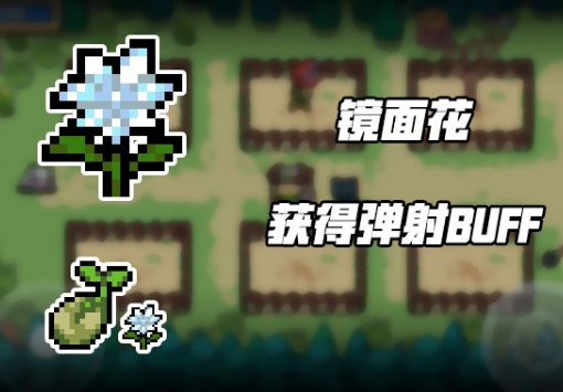 元气骑士镜面花作用是什么?镜面花获取方法一览 元气骑士镜面花作用是什么?镜面花获取方法一览