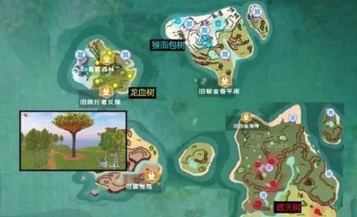 创造与魔法龙血树位置在哪?龙血树分布地点一览 创造与魔法龙血树位置在哪?龙血树分布地点一览