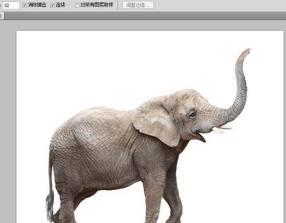 Adobe Photoshop怎么把图片中大象鼻子动起来？让图片中大象鼻子动起来方法介绍