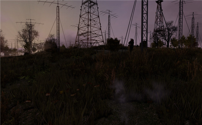 DayZ