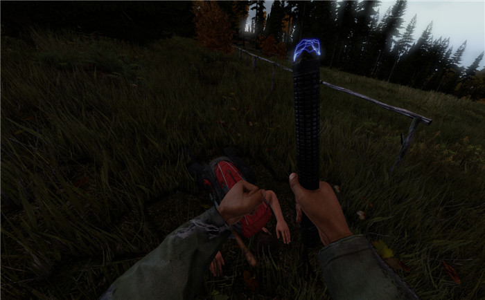 DayZ