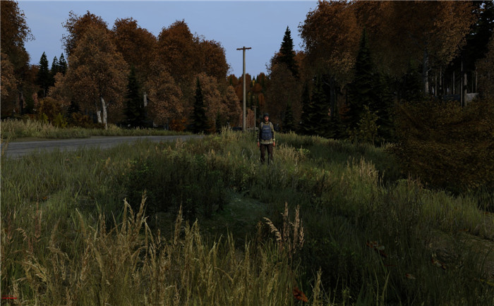 DayZ