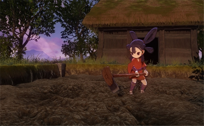 稻作:稻田与废墟