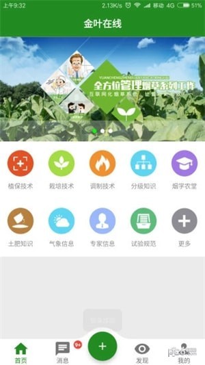 金叶在线 金叶在线