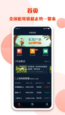 雅江松茸 雅江松茸