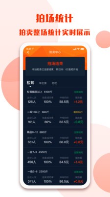雅江松茸 雅江松茸