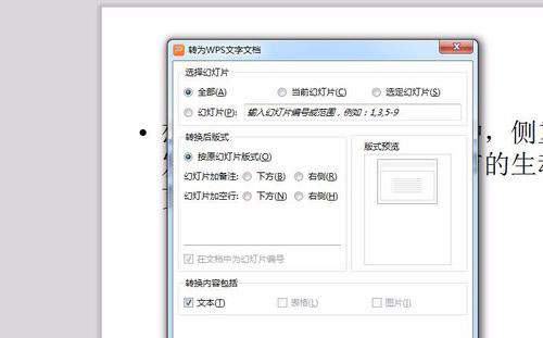 PowerPoint Viewerword文件如何转换？word文件转换方法图文介绍